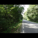 Nach den ganzen Feldern die Fahrt durch ein Waldstück